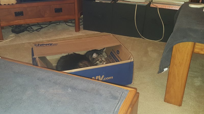 20170718_180413.jpg