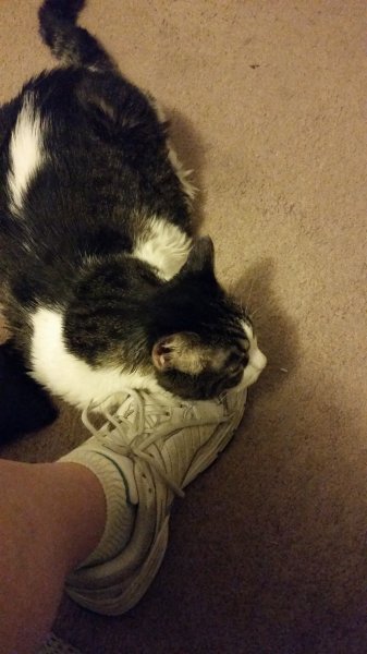 20170726_140635.jpg