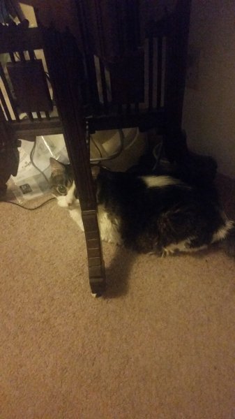 20170810_090106.jpg