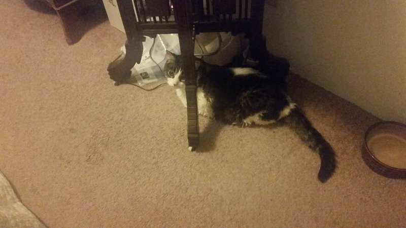 20170810_090115.jpg