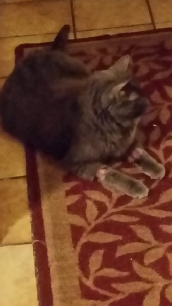 20170927_193029.jpg