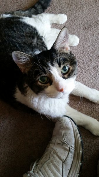 20171020_120538.jpg
