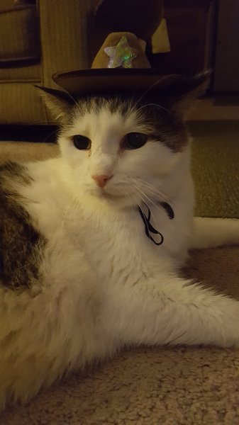 20171024_201132.jpg