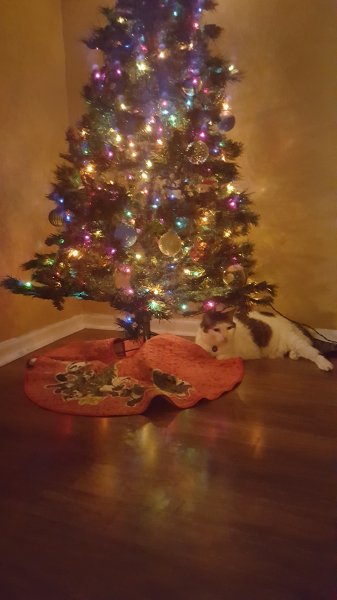 20171130_212535.jpg