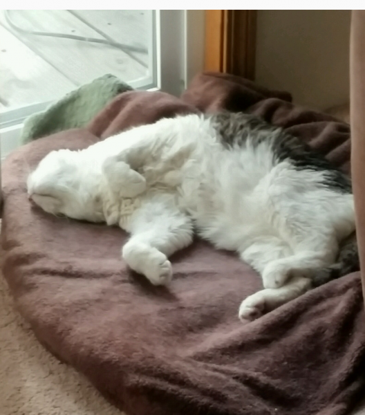 2018-07-03 12.00.29.png