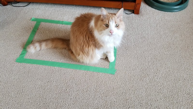 20180323_140224.jpg