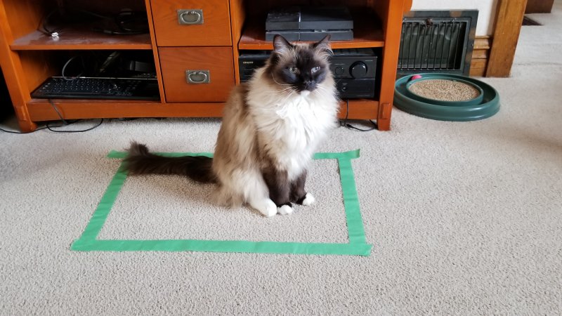 20180323_165946.jpg