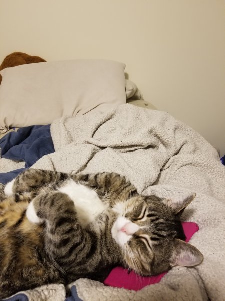 20180424_231947.jpg