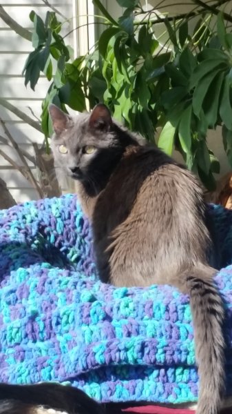 20180428_113614.jpg