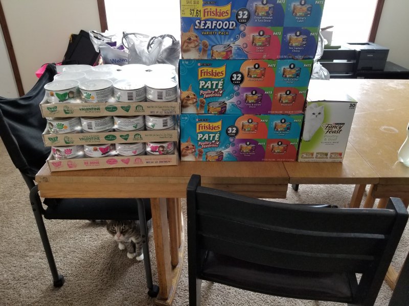 20180428_135743.jpg