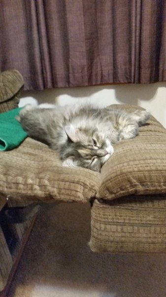 20180608_020624.jpg