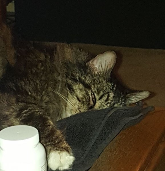 20180630_184908.jpg