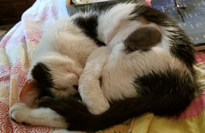 20180729_191142.jpg
