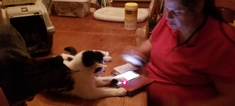 20180731_220452.jpg