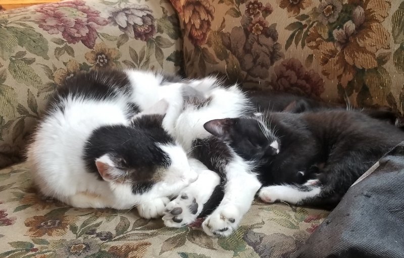 20180803_160145.jpg