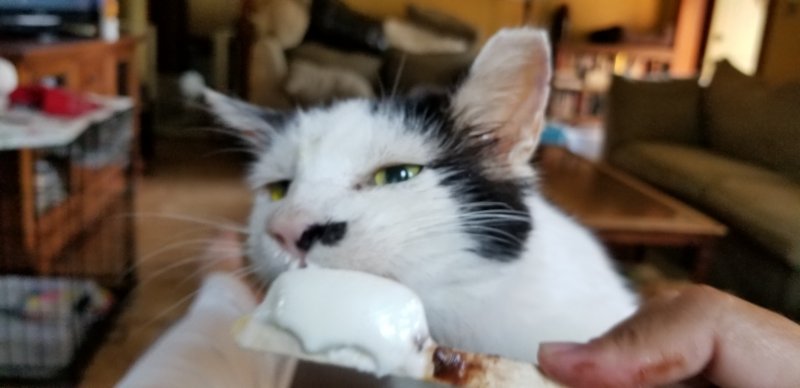20180813_172128.jpg