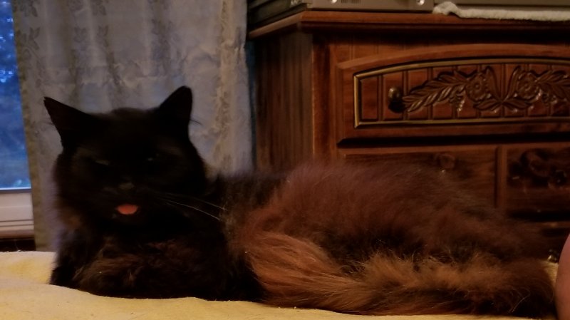 20180817_183153.jpg