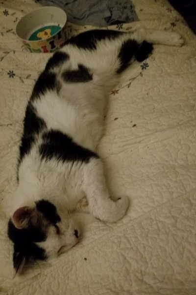 20180821_001317.jpg