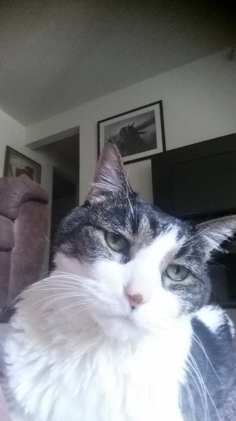 20180823_103931.jpg