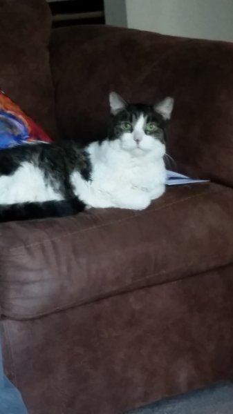 20180825_181119.jpg