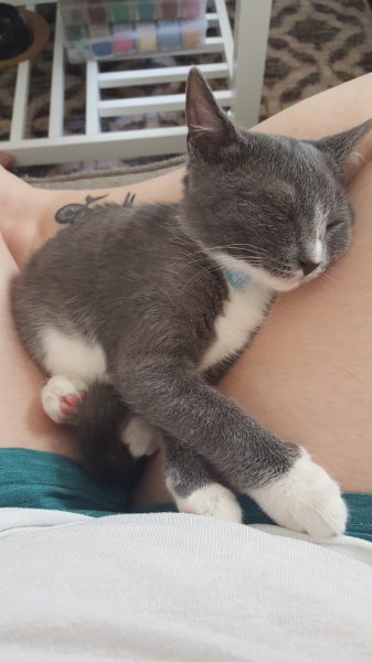 20180901_155756.jpg