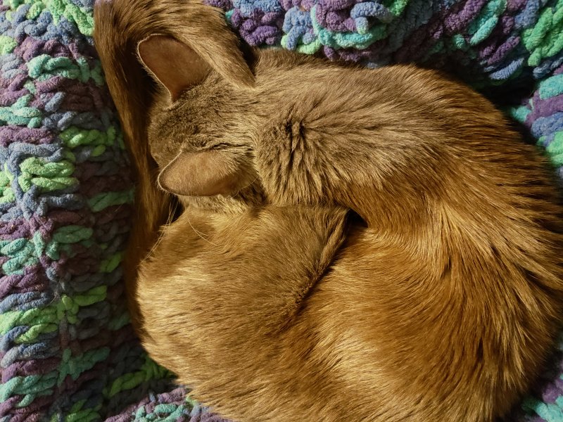 20181202_181503.jpg