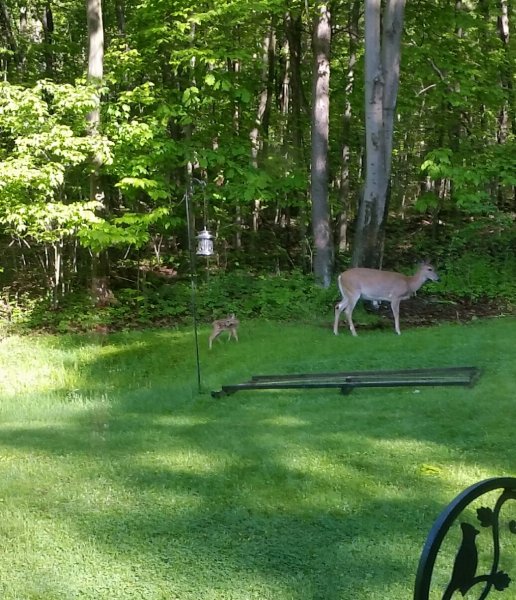 2019-05-27 08.41.09.jpg