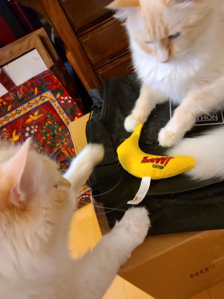 20210521_200616 resize.jpg