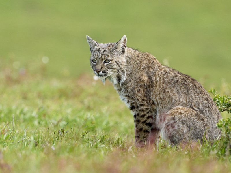 2023-04-16 22.53.13 - 2023-04-16 Point Reyes DSC02143.jpg