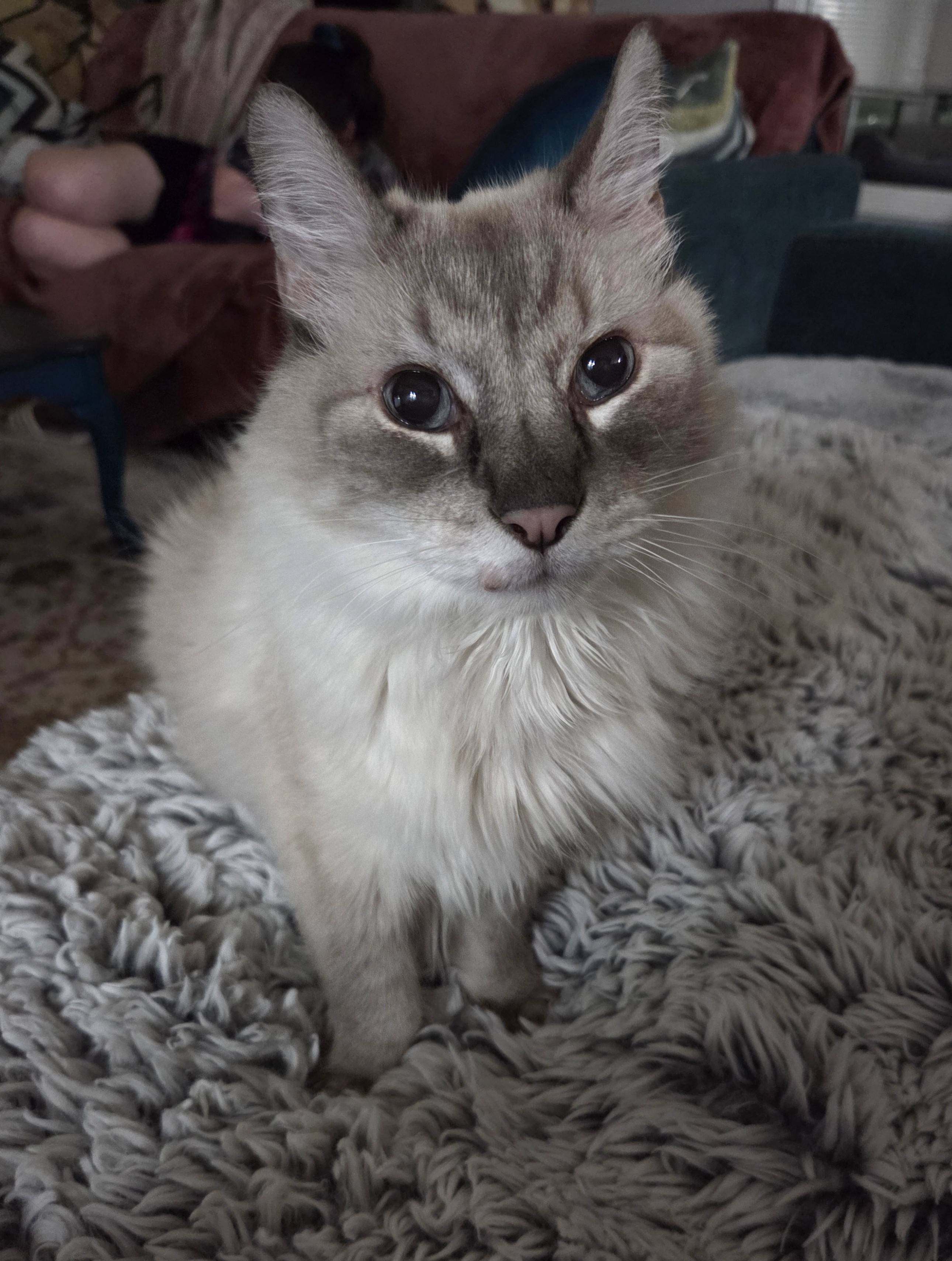 20251209_203637 lightN.jpg