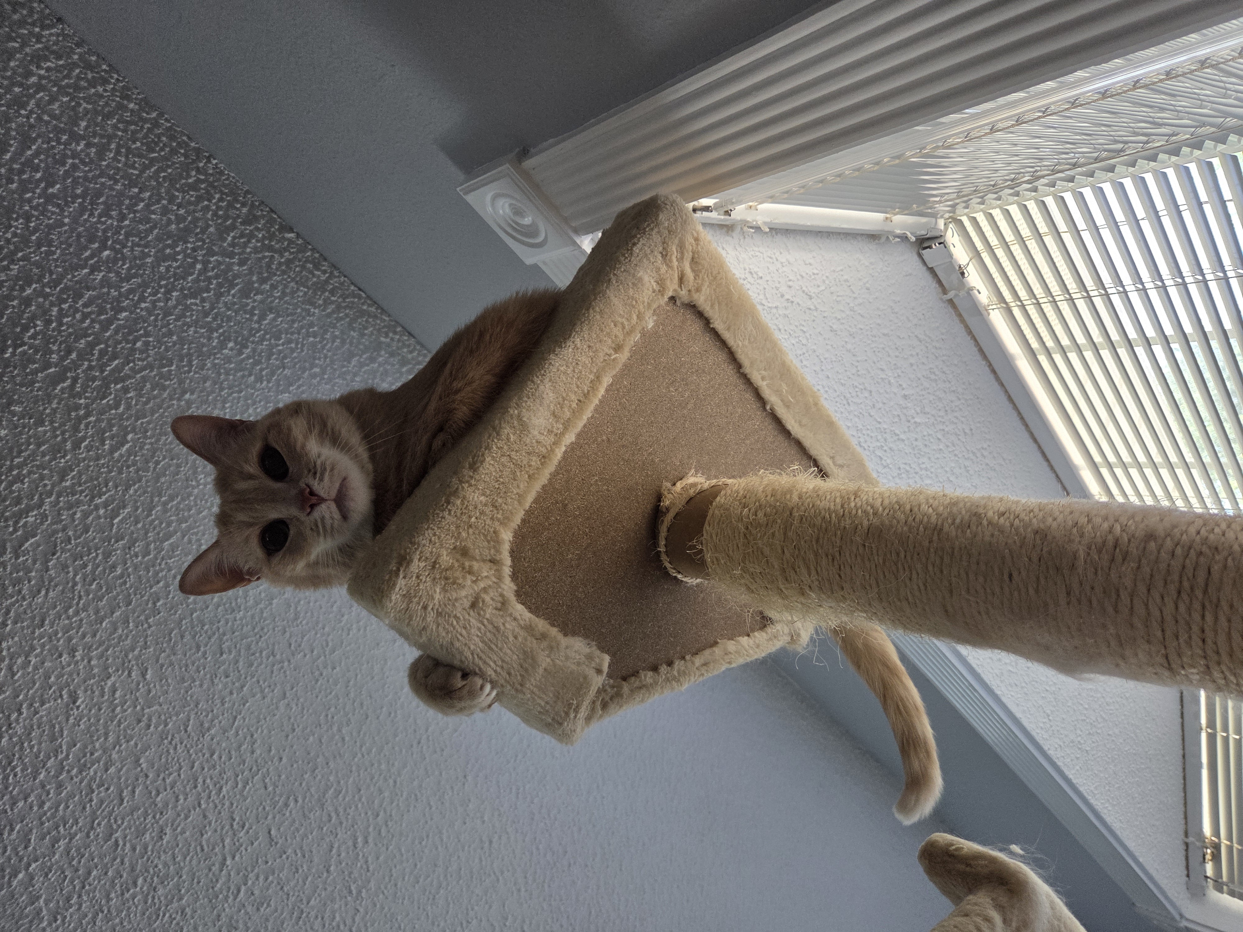 20260826_115240.jpg