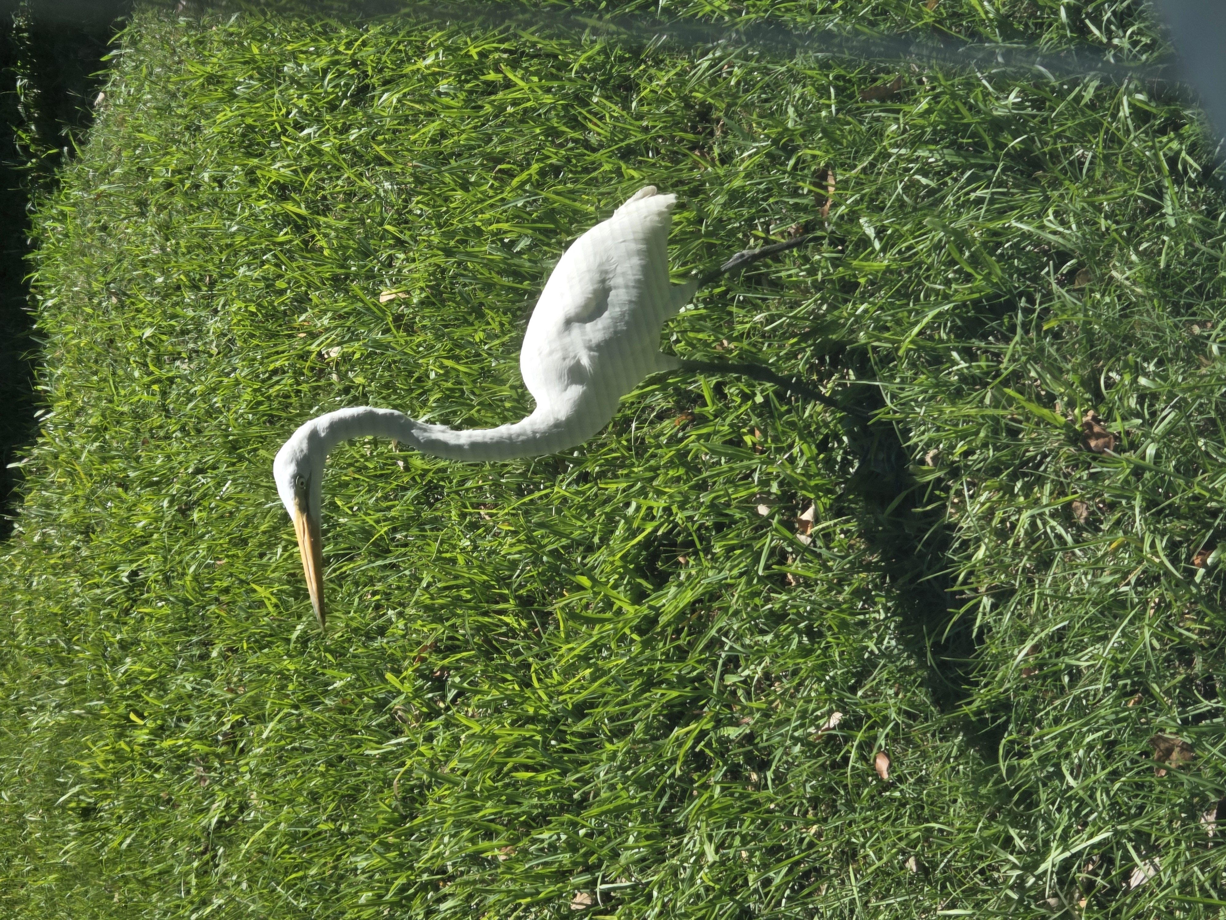 20261023_130051.jpg