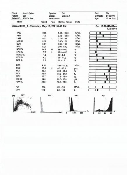3 Ben SL Spay & Neuter 3.jpg