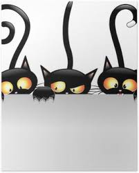 3 cats.jpg