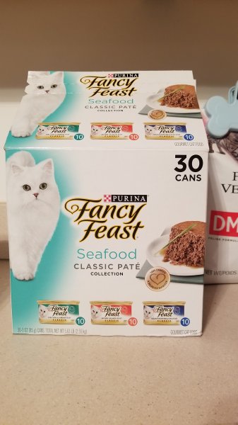 Fancy feast classic 2024 for diabetic cats