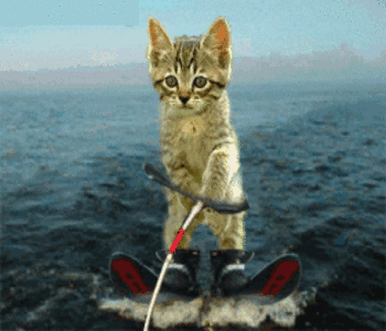 488BE5F2-E8F0-4AC1-8FEE-F882B52FF217.gif