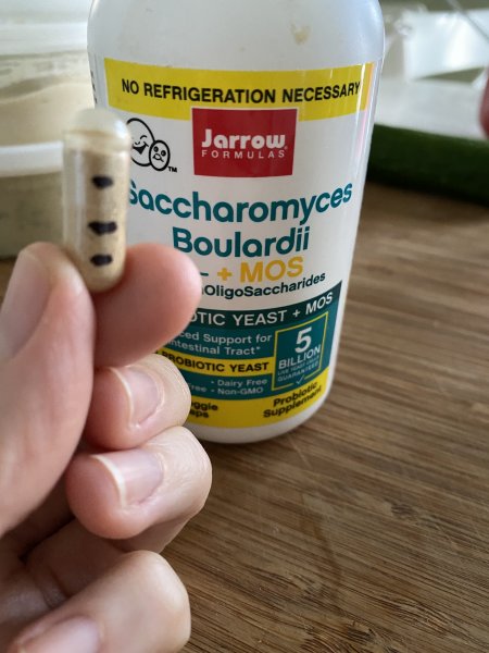 Saccharomyces Boulardii + MOS