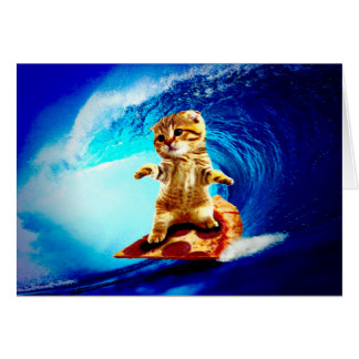 5F0F731B-14DB-4D4E-AA50-7AF7D461779C.jpeg