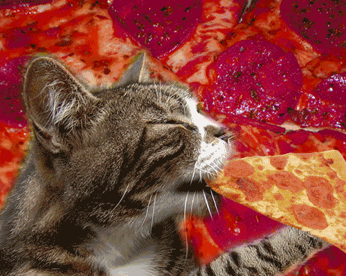 61FC0731-310D-4F71-B2CC-C1637B229976.gif