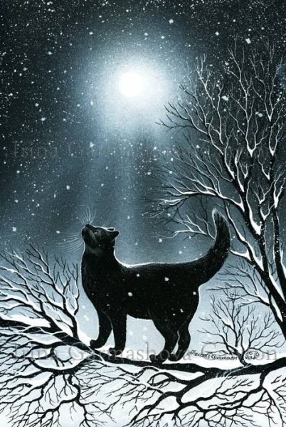 6d52ca06cdb45ca4cca8a7260d3948fa.jpgcat on branch.jpg