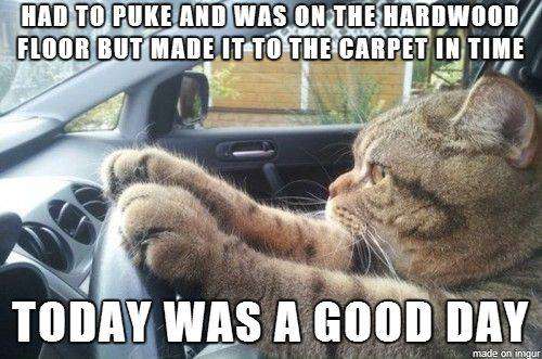 a good day.jpg