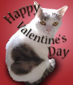 ae22f78110956d28f7e5dcb2c881a736--saint-valentine-valentines-hearts.jpg