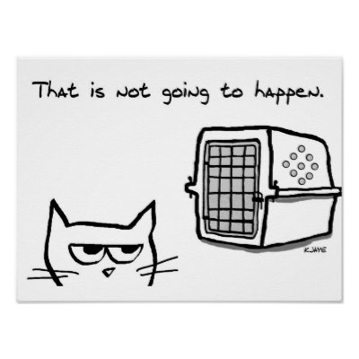 angry_cat001.jpg
