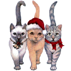 animated-cat-image-0459.gif
