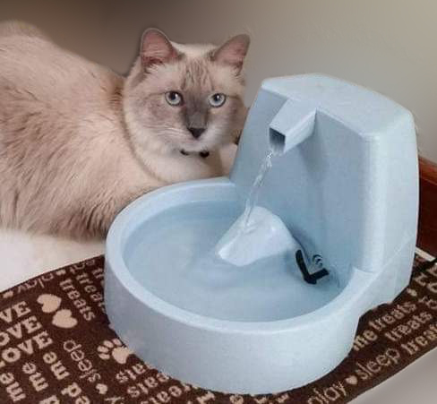 Artemis_Fountain.jpg Artemis_Fountain.jpg