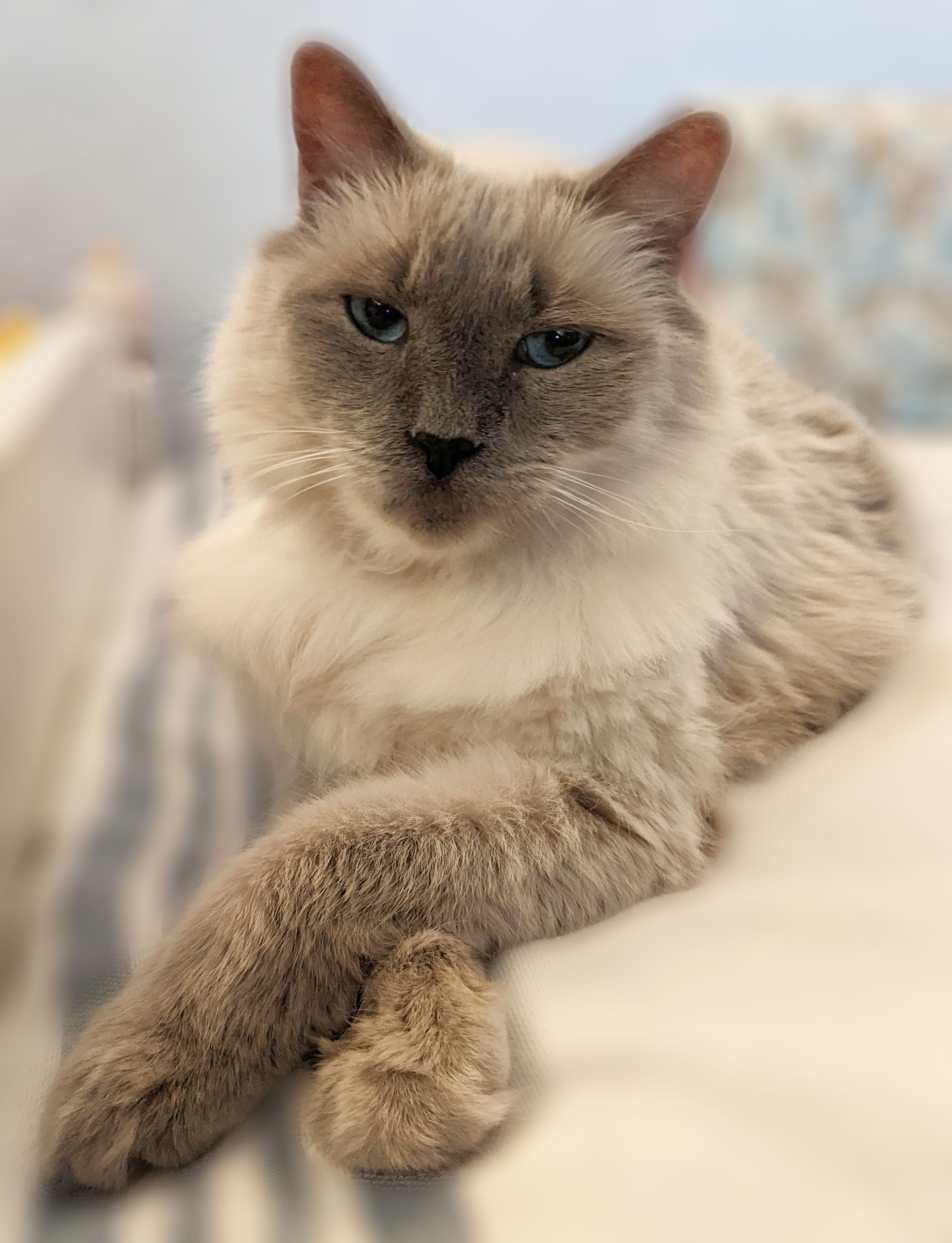Artemis_Oct2025.jpg Artemis_Oct2025.jpg