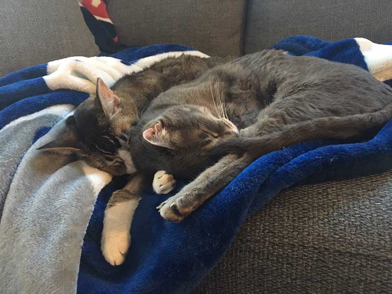 asleep.jpg