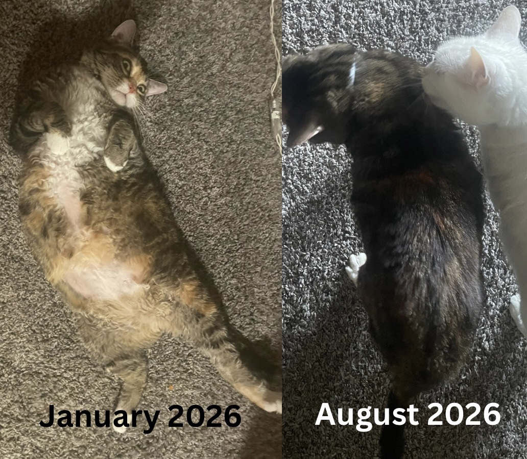 August 2026.jpeg