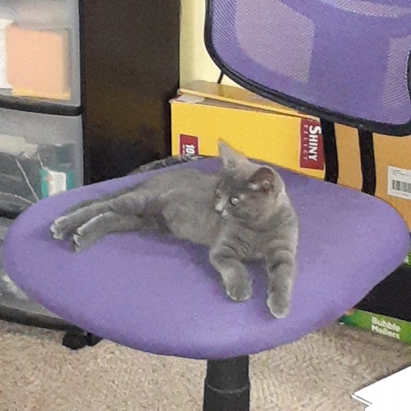 Beautiful Baby Ray.jpg