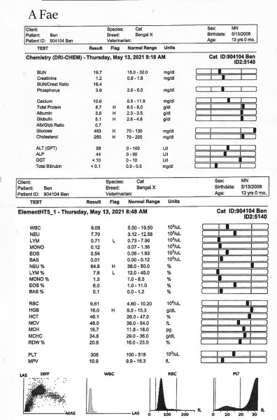 Bens chems page 1 and 2.jpg